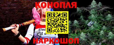 mdma Аргун