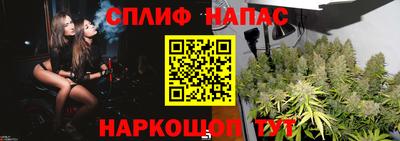 mdma Аргун